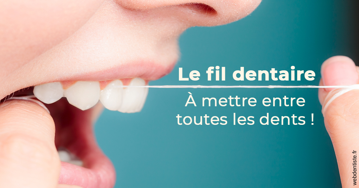 https://dr-bluche-laurent.chirurgiens-dentistes.fr/Le fil dentaire 2