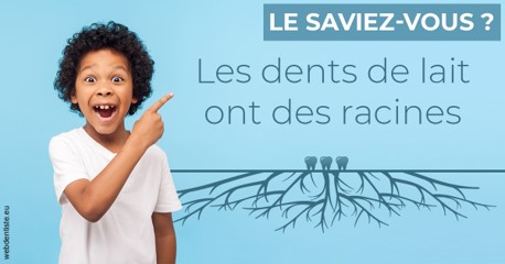 https://dr-bluche-laurent.chirurgiens-dentistes.fr/Les dents de lait 2