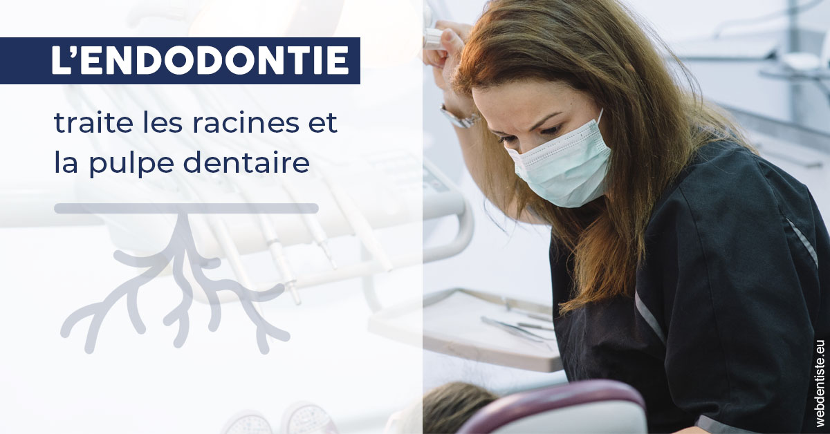 https://dr-bluche-laurent.chirurgiens-dentistes.fr/L'endodontie 1