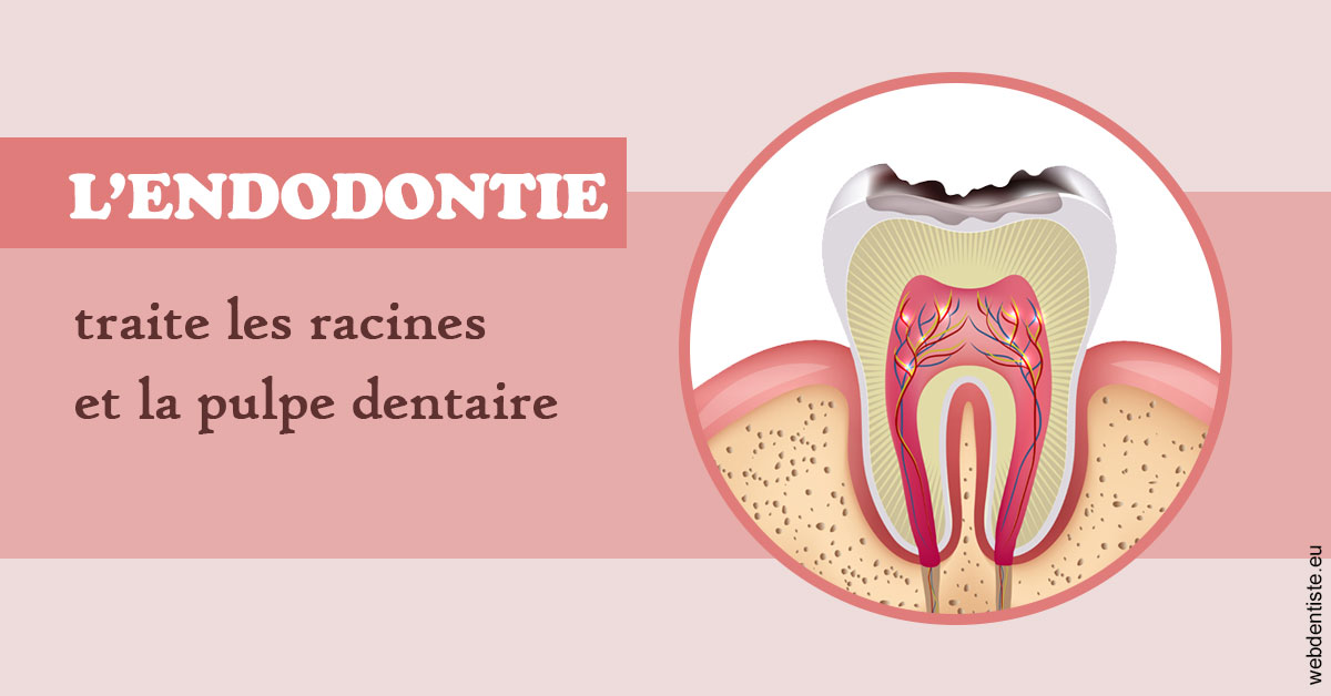 https://dr-bluche-laurent.chirurgiens-dentistes.fr/L'endodontie 2