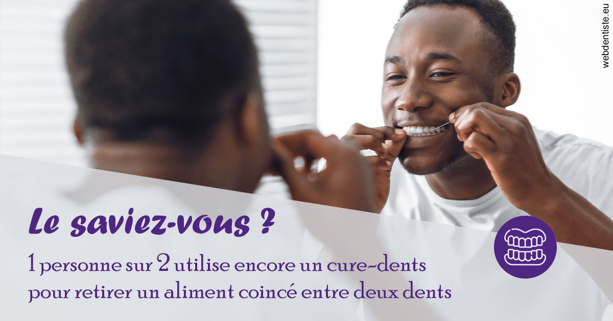 https://dr-bluche-laurent.chirurgiens-dentistes.fr/Cure-dents 2