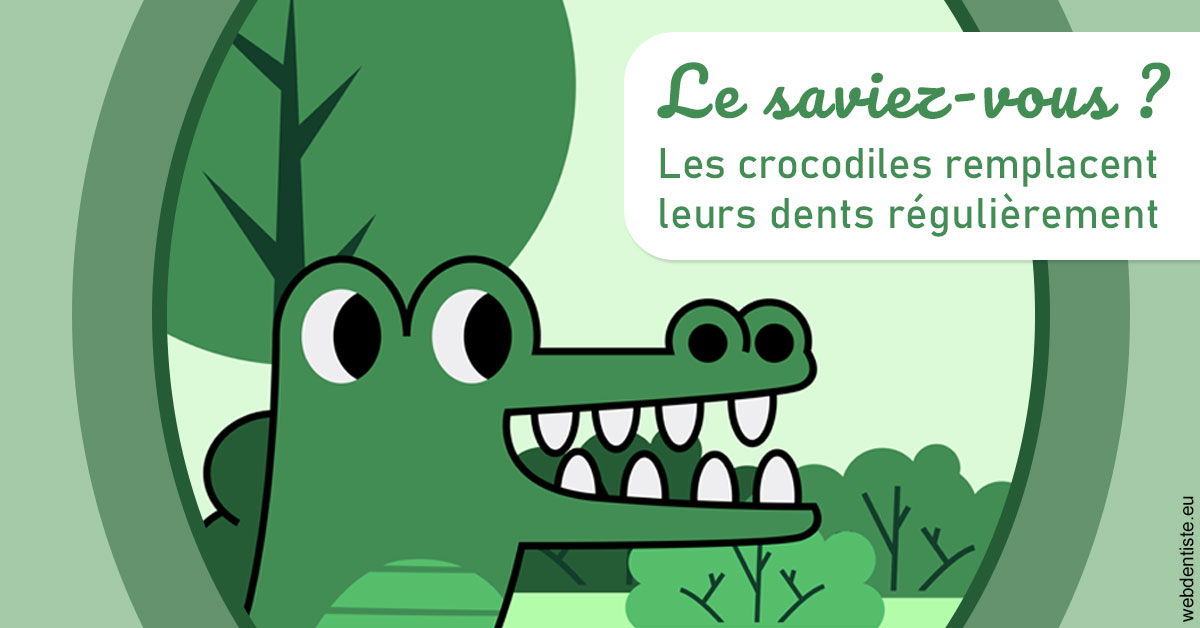 https://dr-bluche-laurent.chirurgiens-dentistes.fr/Crocodiles 2