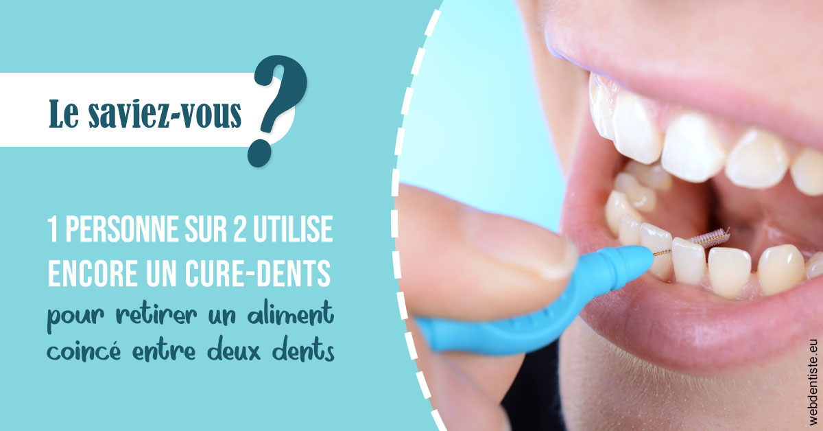 https://dr-bluche-laurent.chirurgiens-dentistes.fr/Cure-dents 1